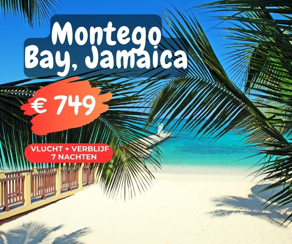 Reis naar Montego Bay, Jamaica