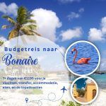 Budgetreis naar Bonaire